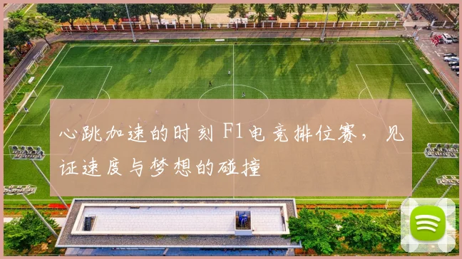 心跳加速的时刻 F1电竞排位赛，见证速度与梦想的碰撞