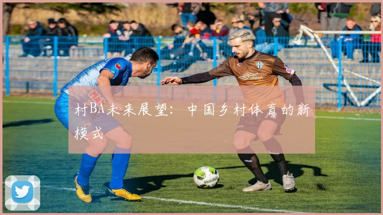 村BA未来展望:中国乡村体育的新模式
