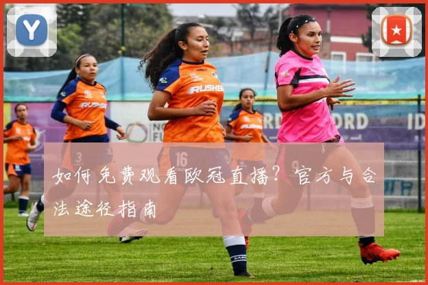 如何免费观看欧冠直播?官方与合法途径指南